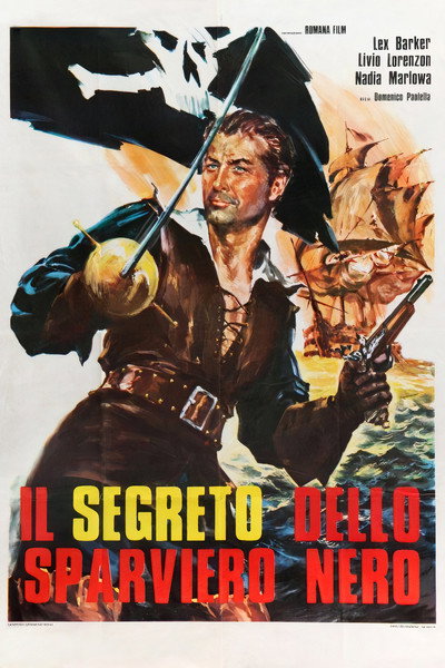 Póster de El secreto del gavilán negro