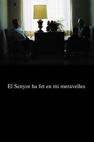 Póster de El Senyor ha fet en mi meravelles