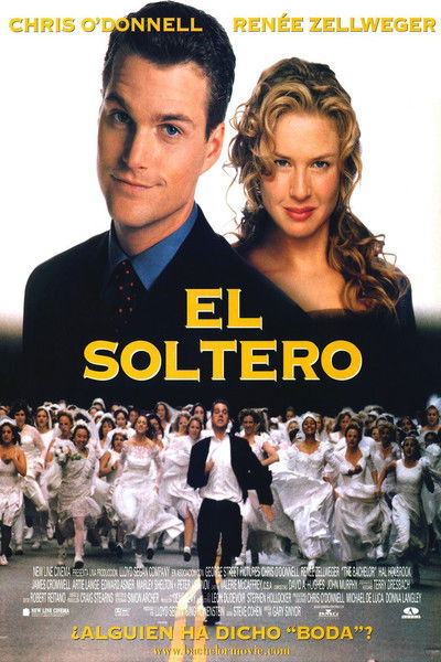 Póster de El solter