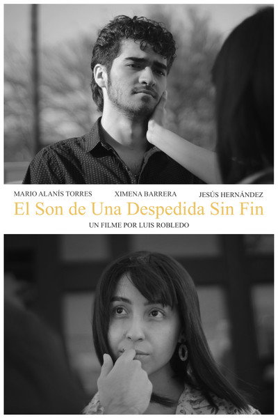 Póster de El Son de Una Despedida Sin Fin