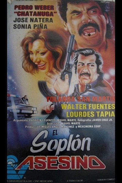 Póster de El soplón asesino