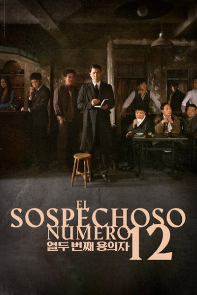 Póster de El sospechoso número 12