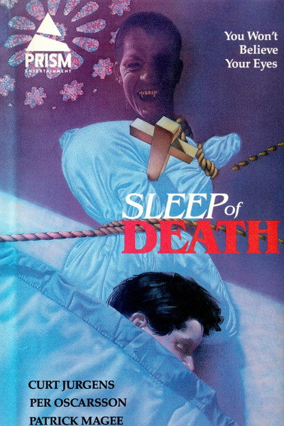 Póster de El sueño de la muerte