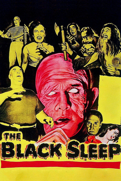 Póster de El sueño negro