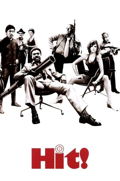 Póster de El supergolpe