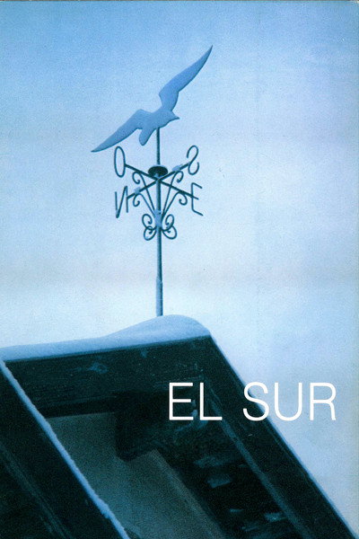 Póster de El sur