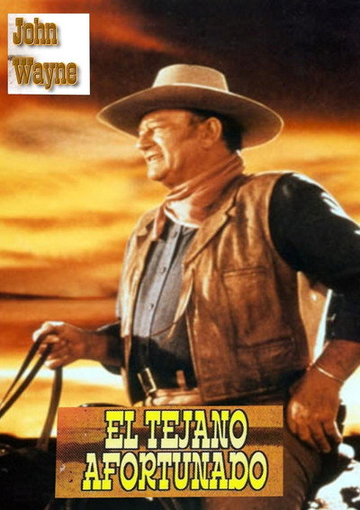 Póster de El tejano afortunado