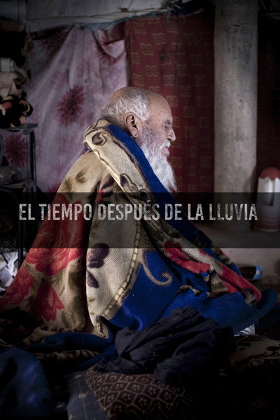 Póster de El temps després de la pluja