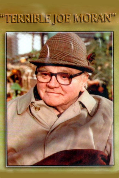 Póster de El terrible Joe Moran