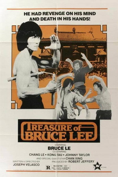 Póster de El tesoro de Bruce Lee