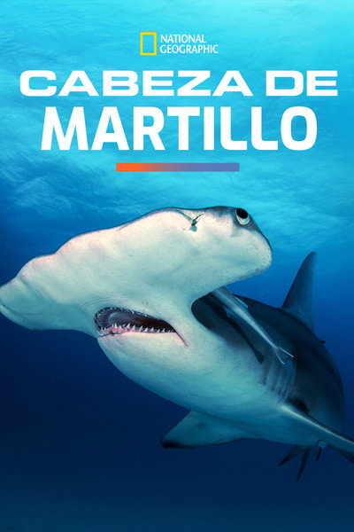 Póster de El tiburón martillo gigante