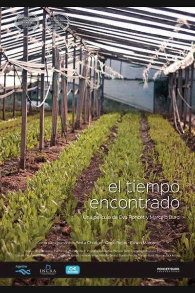 Póster de El tiempo encontrado