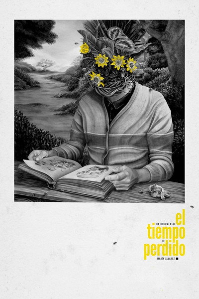 Póster de El tiempo perdido