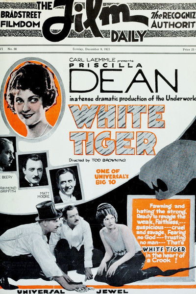 Póster de El tigre blanco