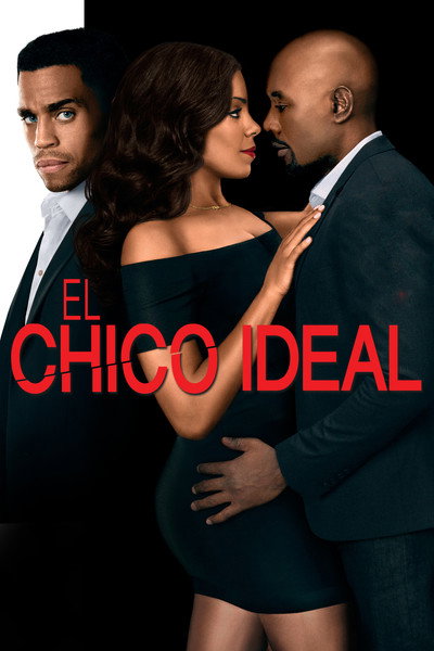 Póster de El tipo perfecto