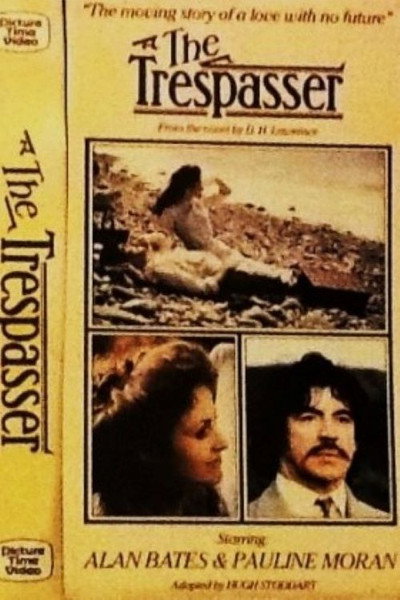 Póster de El transgresor