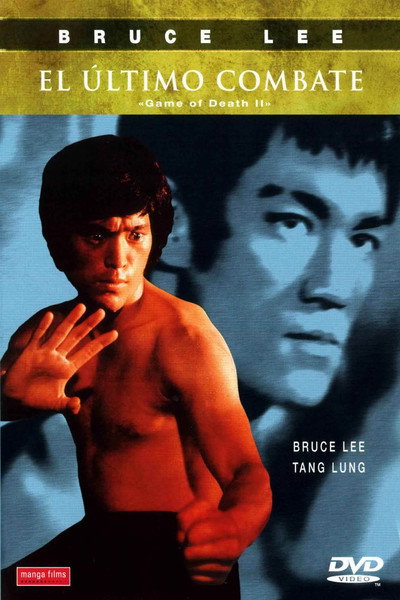 Póster de El último combate