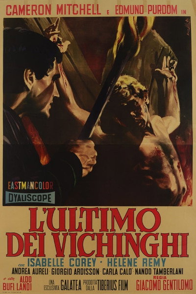 Póster de El último de los vikingos