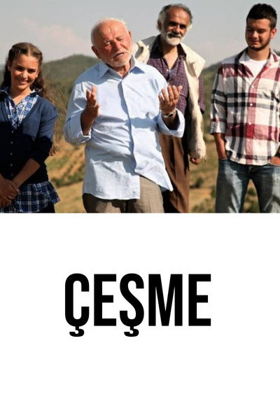 Póster de El ultimo deseo