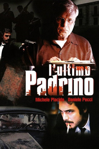 Póster de El último padrino