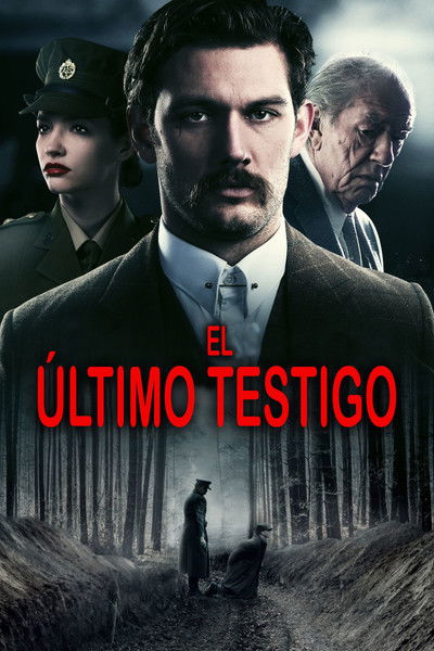 Póster de El último testigo