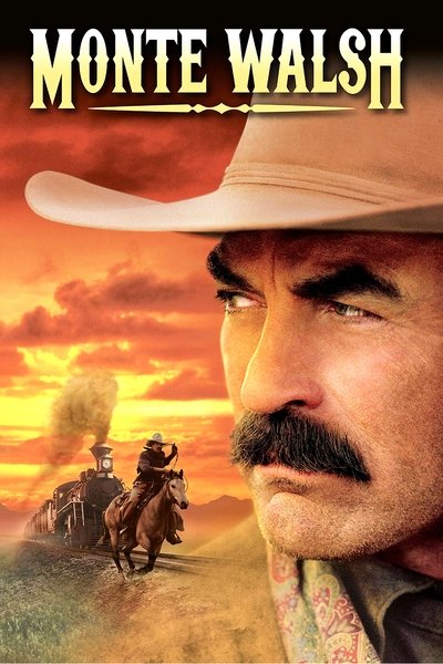 Póster de El último vaquero