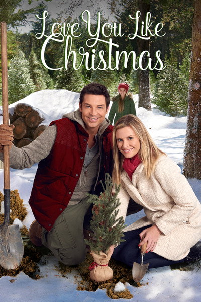 Póster de El valle de la Navidad