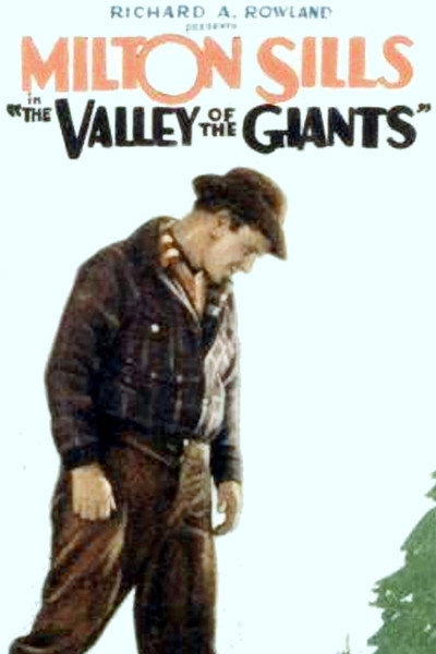 Póster de El valle de los gigantes
