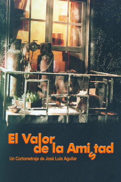 Póster de El valor de la amistad