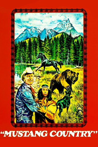 Póster de El valor de la amistad