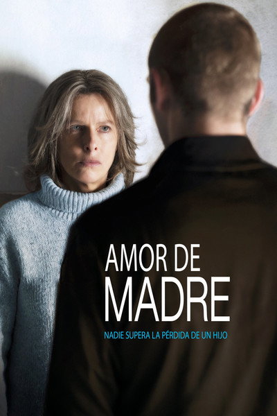 Póster de El valor de una madre