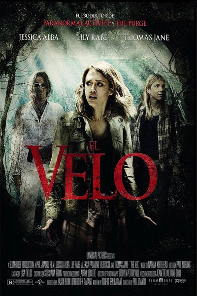 Póster de El velo