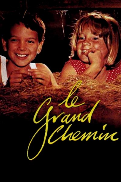 Póster de El verano de las maravillas