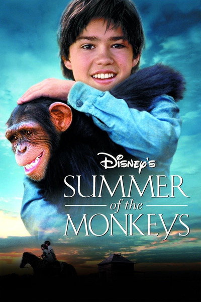 Póster de El verano de los monos