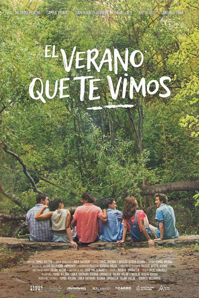 Póster de El Verano que te Vimos