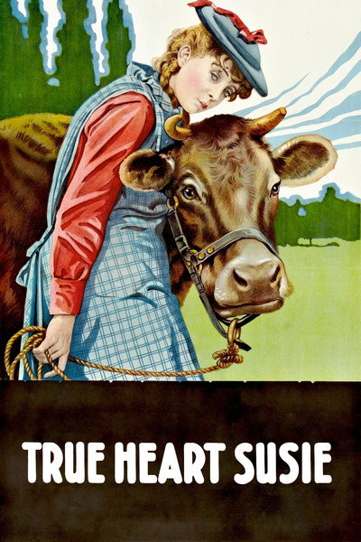 Póster de El verdadero corazón de Susie