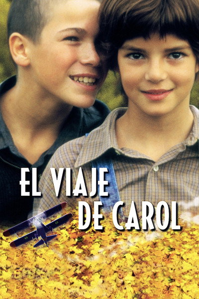 Póster de El viaje de Carol