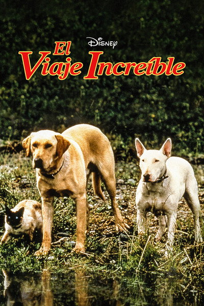 Póster de El viaje increíble