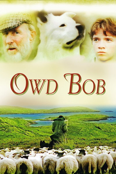 Póster de El viejo Bob