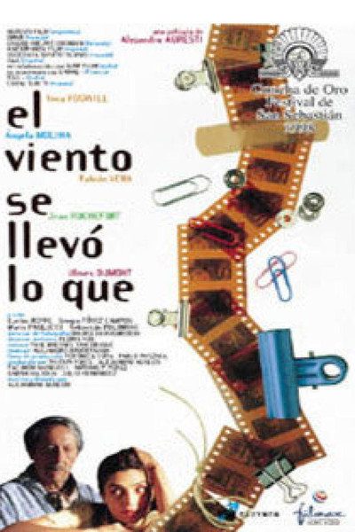 Póster de El viento se llevó lo que