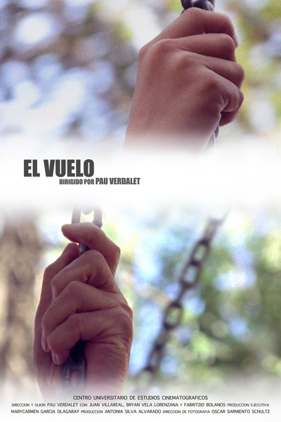 Póster de El vuelo