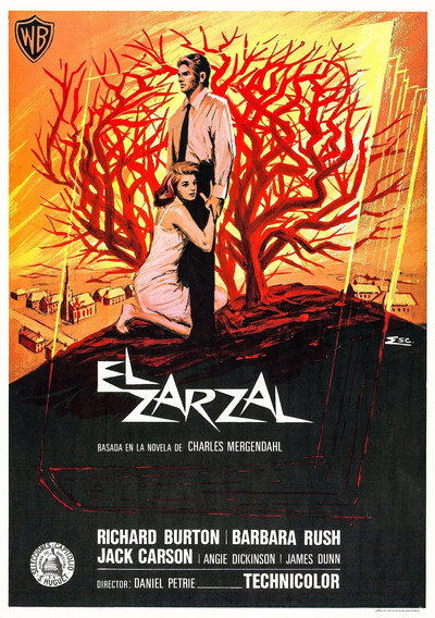 Póster de El zarzal