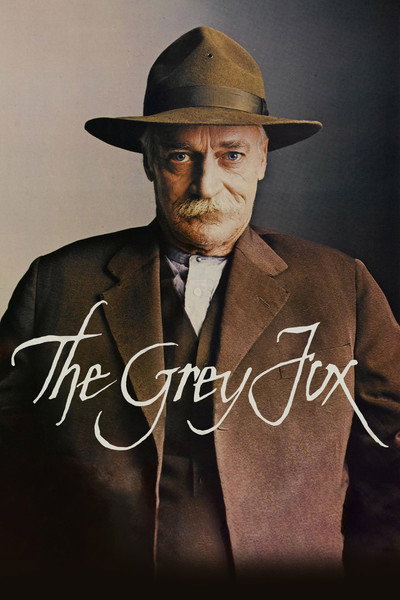 Póster de El zorro gris