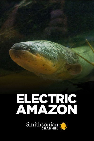 Póster de Electric Amazon