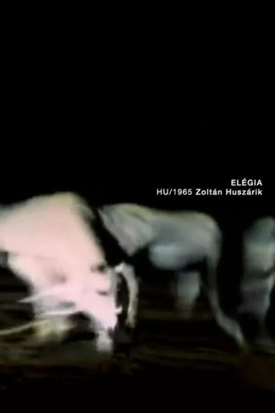 Póster de Elégia