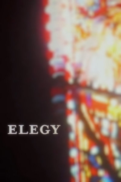 Póster de Elegy