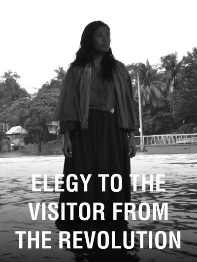 Póster de Elegy to the Visitor from the Revolution