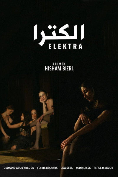 Póster de Elektra