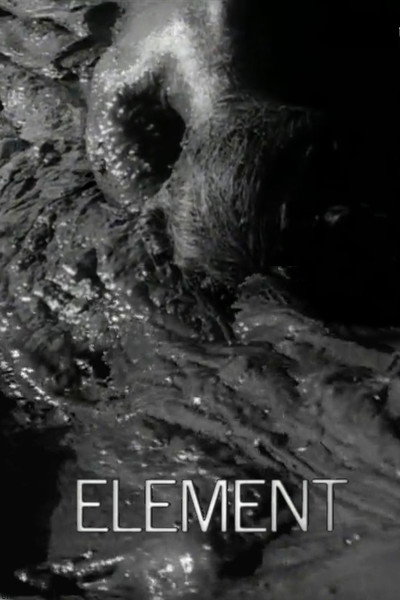 Póster de Element
