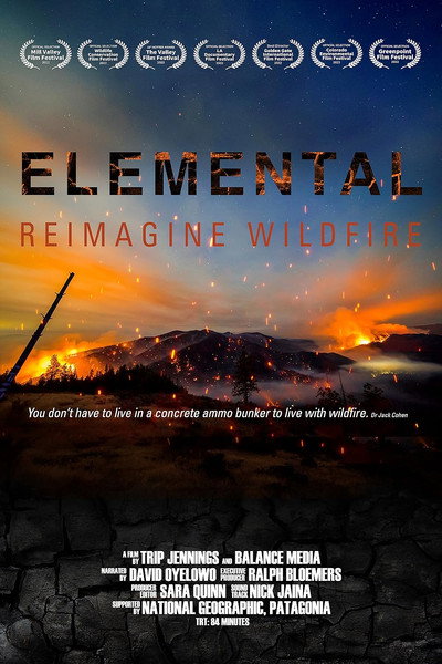 Póster de Elemental: Reimagine Wildfire